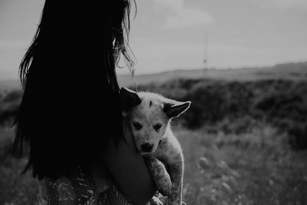 Cameron + Sierra (& Ruca) | Camp Pendleton Wilderness | Couples Session With a Puppy!