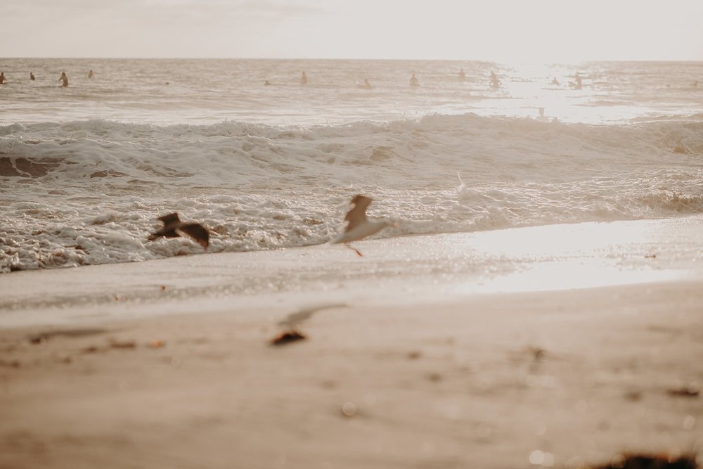 Surprise Proposal at the Beach | Oahu Proposal Photographer | Hunter + Missy