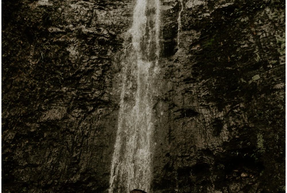 Manoa Falls Adventure Session | Oahu Couples Photographer