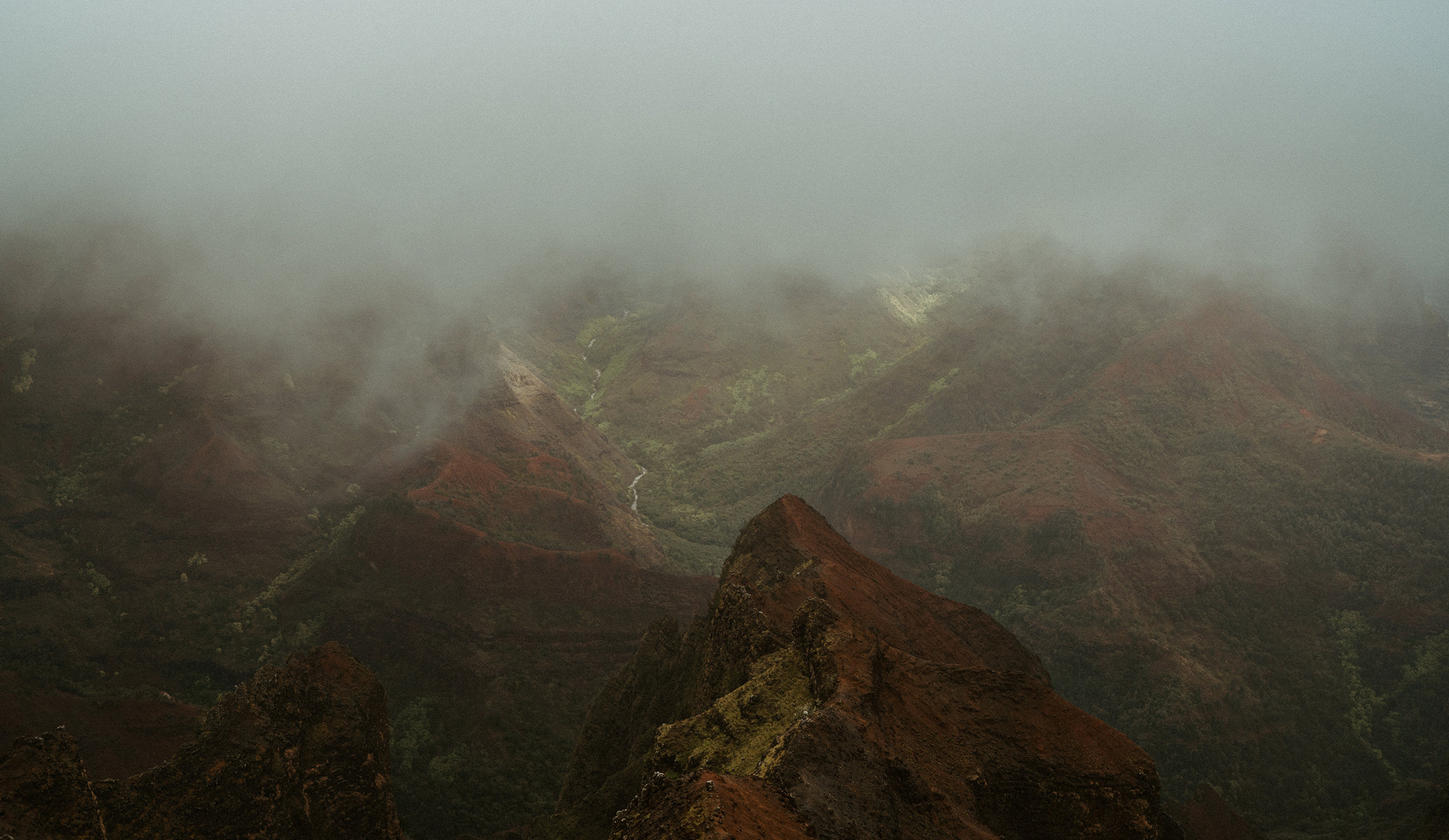 Waimea Canyon Mists waimea canyon art print